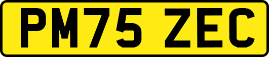 PM75ZEC