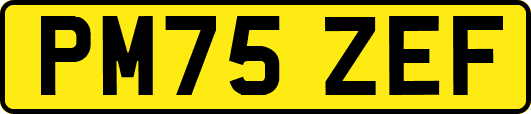 PM75ZEF