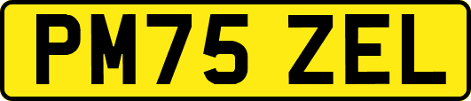 PM75ZEL