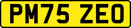 PM75ZEO
