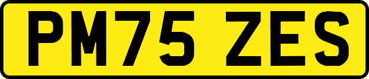 PM75ZES