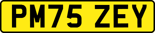 PM75ZEY