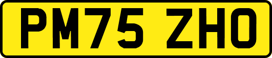 PM75ZHO