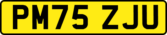 PM75ZJU
