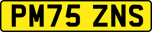 PM75ZNS