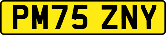 PM75ZNY