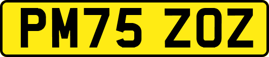 PM75ZOZ