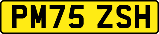 PM75ZSH