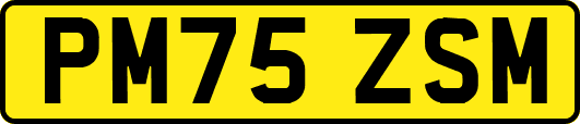 PM75ZSM