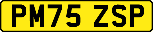 PM75ZSP