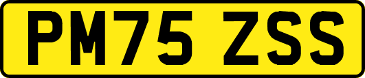 PM75ZSS