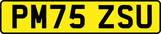 PM75ZSU