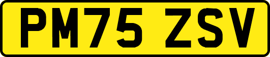 PM75ZSV