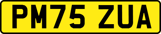 PM75ZUA