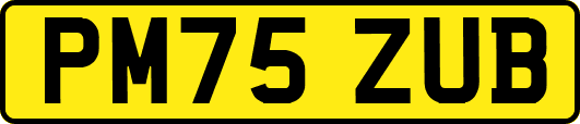 PM75ZUB