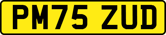 PM75ZUD