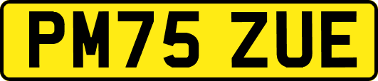 PM75ZUE