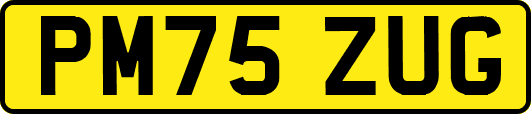 PM75ZUG