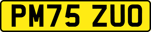PM75ZUO