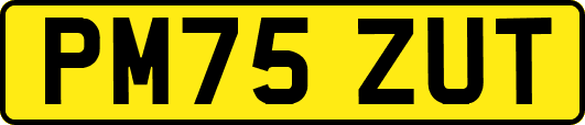 PM75ZUT