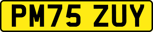 PM75ZUY