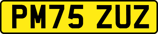 PM75ZUZ