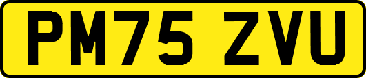 PM75ZVU