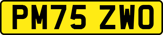 PM75ZWO