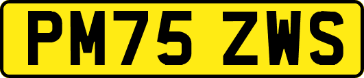 PM75ZWS
