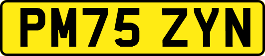 PM75ZYN