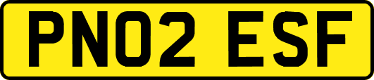 PN02ESF