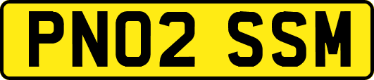 PN02SSM