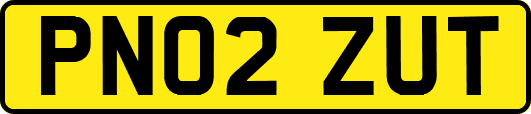 PN02ZUT