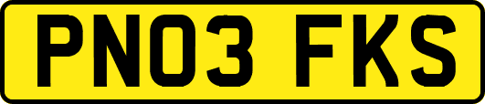 PN03FKS