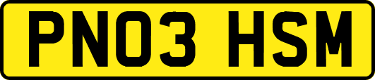 PN03HSM