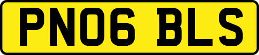 PN06BLS