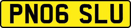 PN06SLU