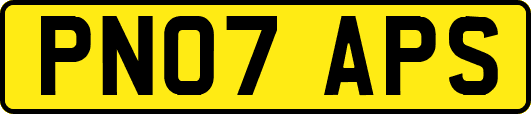 PN07APS