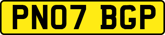 PN07BGP