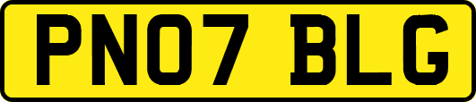 PN07BLG