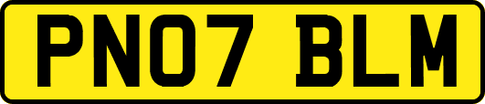 PN07BLM