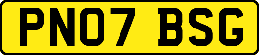 PN07BSG