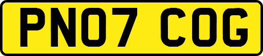 PN07COG