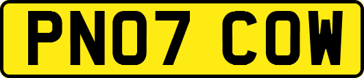 PN07COW