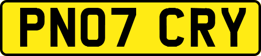 PN07CRY