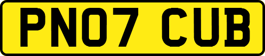 PN07CUB