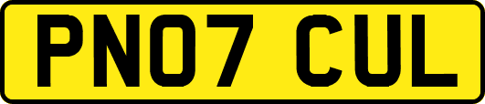 PN07CUL