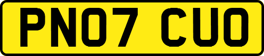 PN07CUO