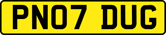 PN07DUG