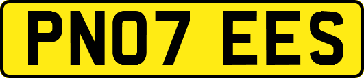 PN07EES